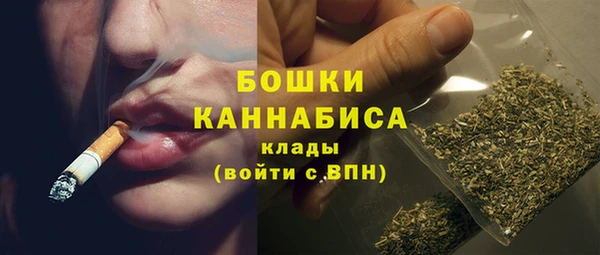 твердый Горнозаводск